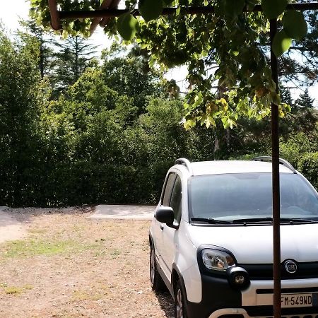 Manjsa Hisa Savudrija Alberi Zraven Petram Naselja Hotel Crveni Vrh Exterior foto